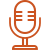Podcast Host